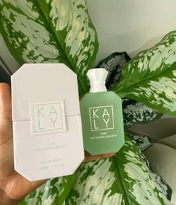 Kaly yum pistachio Gelato